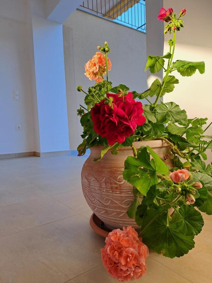 Athineon Hotel Nidrí Kültér fotó